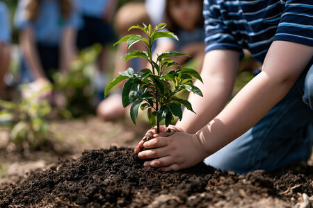 Planting the seeds of tomorrow - supporting The Biodiversity in Schools programme