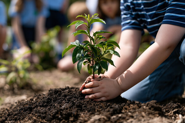 Planting the seeds of tomorrow - supporting The Biodiversity in Schools programme